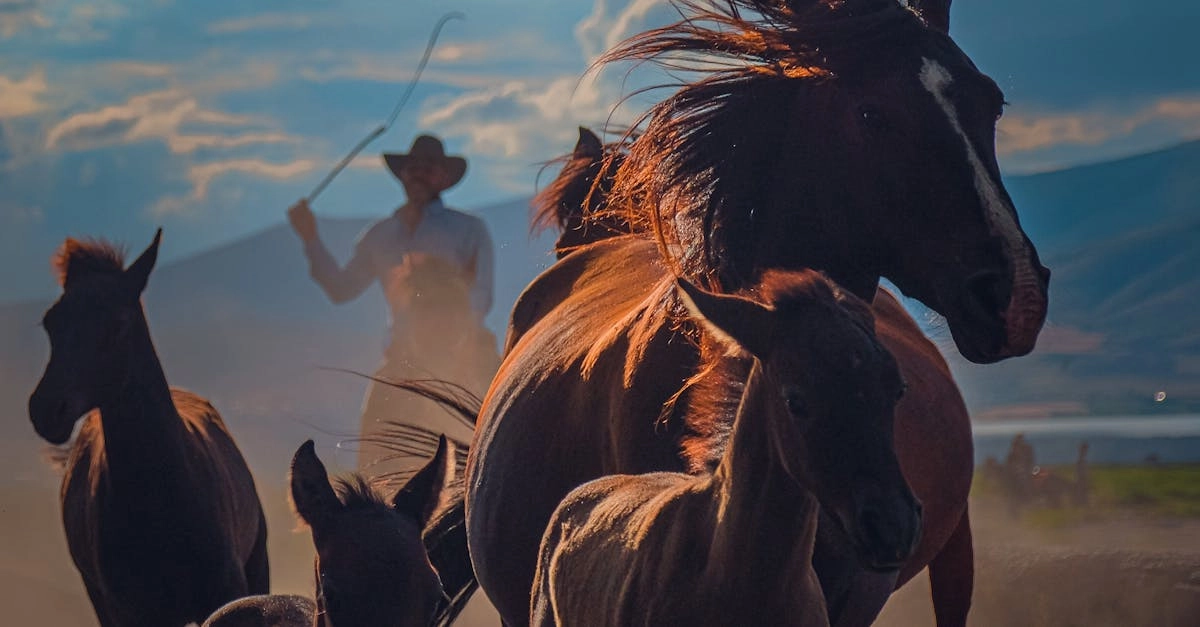 Литературные архетипы Дикого Запада в современном искусстве