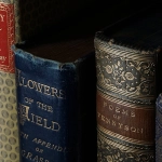 Азартная литература и феномен казино в мировой культуре чтения